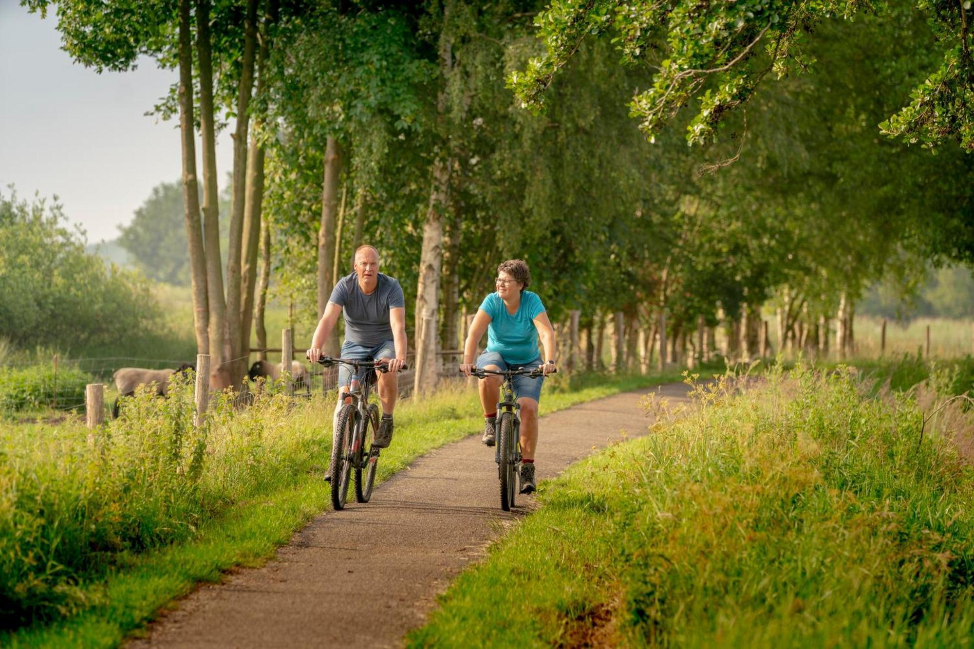 Vakantiepark Bosmeer Friesland Noordwolde  Номер фото